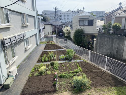 シェア畑